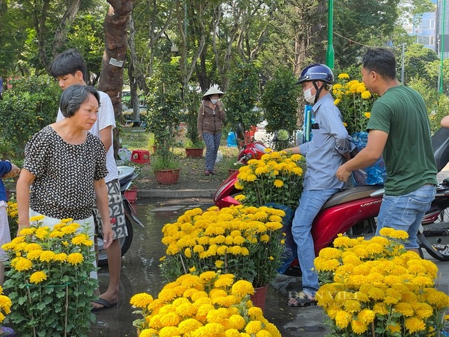 chieu 30 tet nguoi dan do xo di mua hoa giam gia truoc khi tieu thuong tra mat bang cay tien trieu xa chi con vai tram dong2