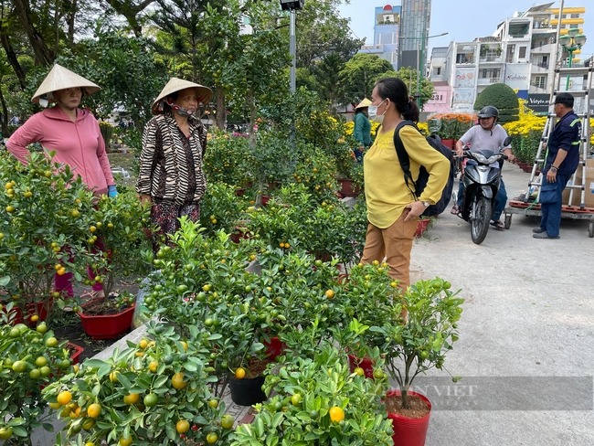 chieu 30 tet nguoi dan do xo di mua hoa giam gia truoc khi tieu thuong tra mat bang cay tien trieu xa chi con vai tram dong3
