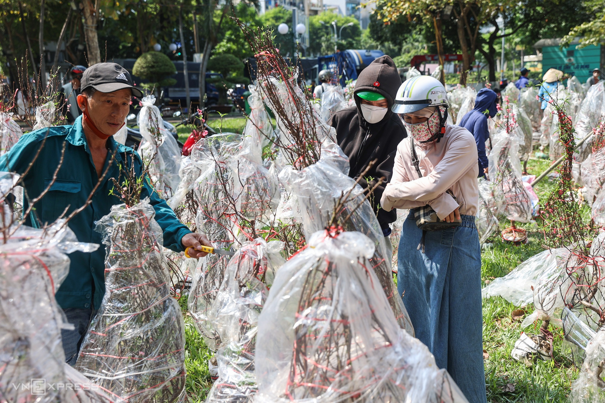 chieu 30 tet nguoi dan do xo di mua hoa giam gia truoc khi tieu thuong tra mat bang cay tien trieu xa chi con vai tram dong8
