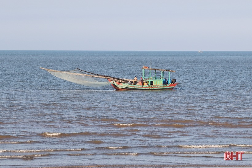 don loc dau nam ngu dan kiem chuc trieu moi ngay nho ca khoai 4 don loc dau nam ngu dan kiem chuc trieu moi ngay nho ca khoai 4