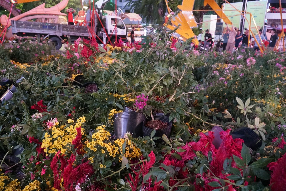 thao do duong hoa nguyen hue linh vat rong duoc de den het thang gieng4