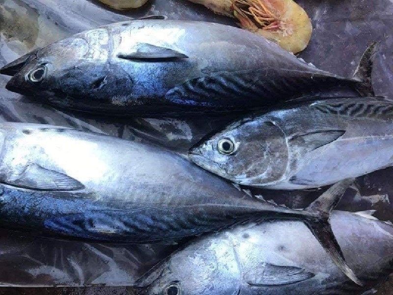 nhung loai ca bien vua ngon lai con bo duong chi em dung quen them vao gio hang khi di cho3