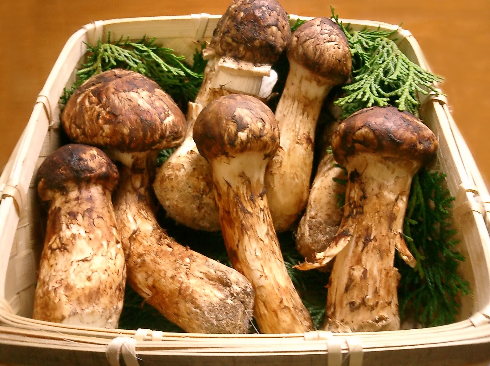 loai nam dat do duoc nhieu nguoi viet nam san lung gia vai chuc trieu kg1 loai nam dat do duoc nhieu nguoi viet nam san lung gia vai chuc trieu kg1