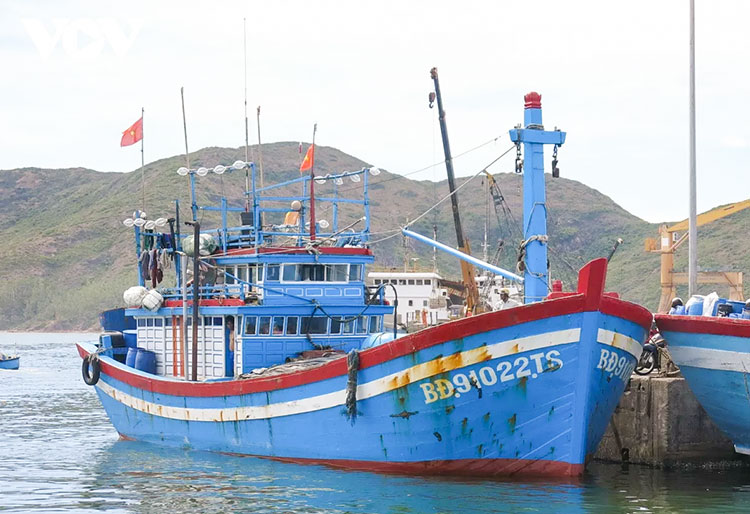 tau hang tong gay mui tau ca giua bien roi roi khoi hien truong1