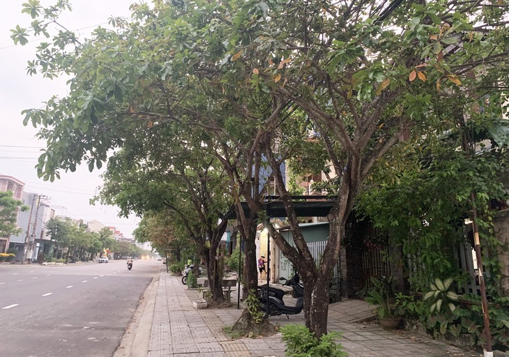 bo cong an yeu cau cung cap thong tin tai lieu ve du an cay xanh cac tinh thanh1 bo cong an yeu cau cung cap thong tin tai lieu ve du an cay xanh cac tinh thanh1