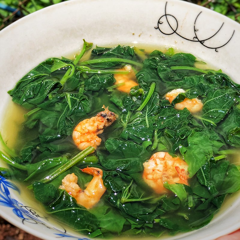 loai rau re tien nhung nhieu dinh duong duoc vi la than duoc cho phu nu trung nien4