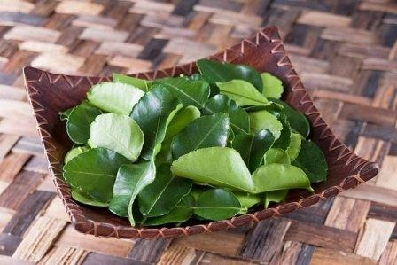 loai la o viet nam moc nhan nhan cho khong ai muon lay nhung ra nuoc ngoai dat nhu tom tuoi 1 loai la o viet nam moc nhan nhan cho khong ai muon lay nhung ra nuoc ngoai dat nhu tom tuoi 1