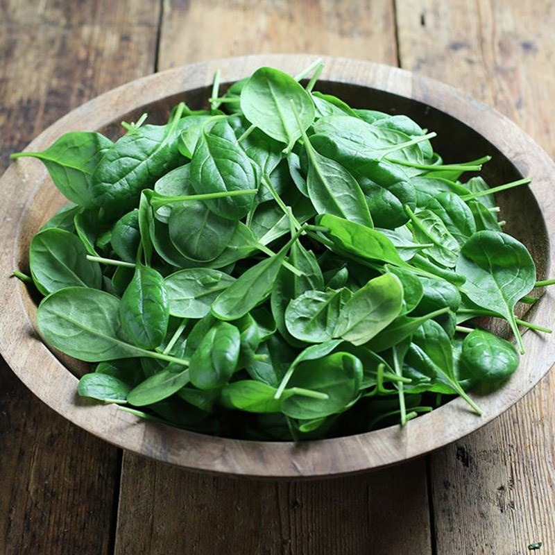 bat mi cach lam salad cai bo xoi tuoi mat khong nhung tot dang lai con dep da31