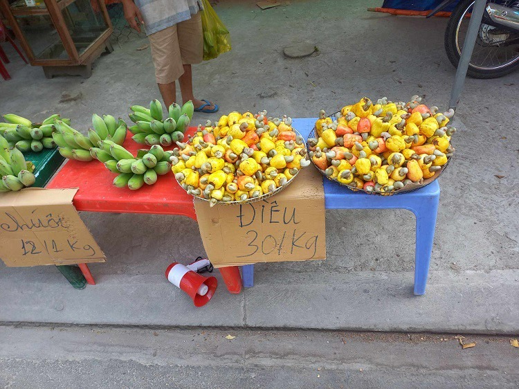 loai qua o que rung day vuon khong them ai nhat len thanh pho ban gia 60 000 dong kg khong co de mua7 loai qua o que rung day vuon khong them ai nhat len thanh pho ban gia 60 000 dong kg khong co de mua7