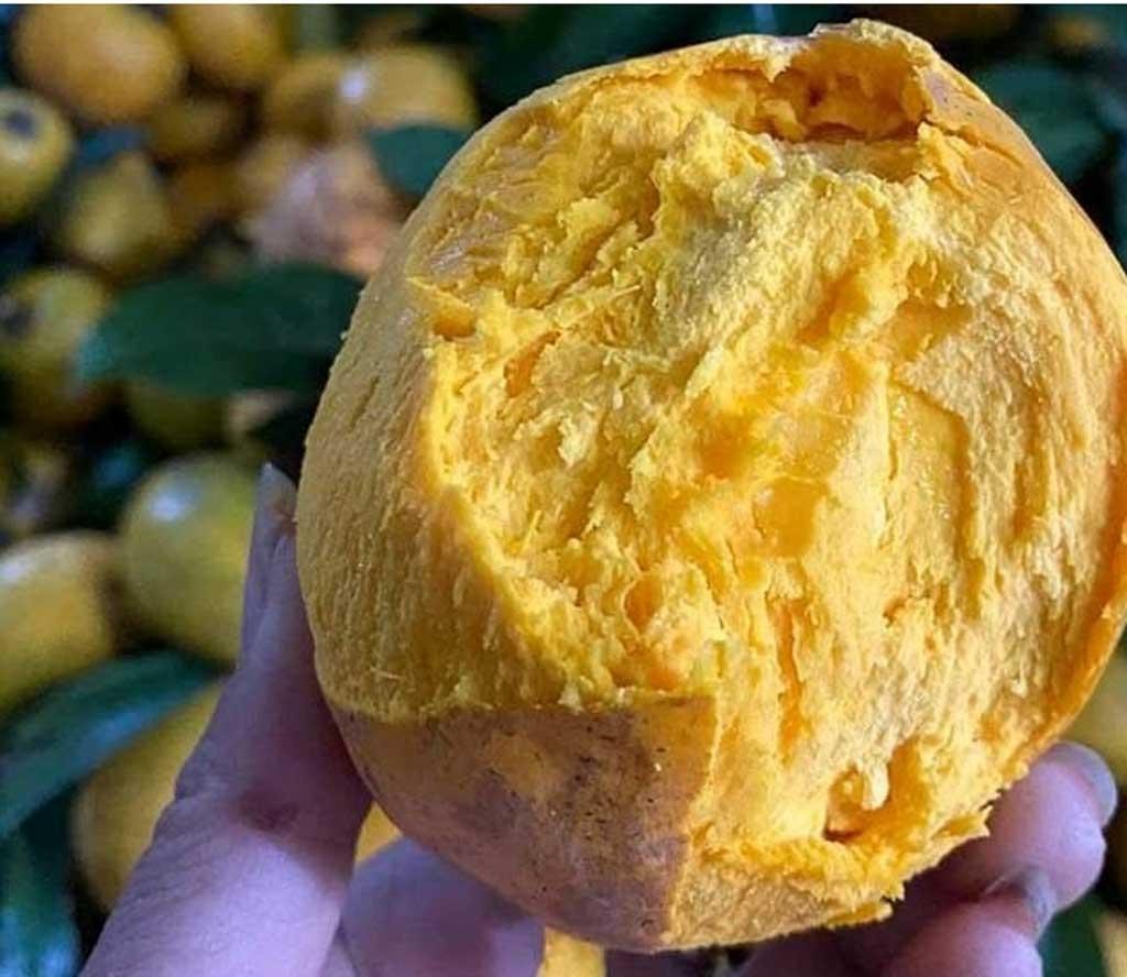 mot loai qua rung day ngoai vuon khong ai them ngo xuat ngoai gia ca trieu dong kg1