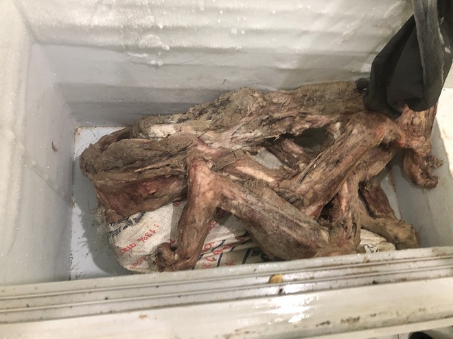 vu bat qua tang 4 nguoi tren chieu bac o ninh binh bi an bo xuong ho trong tu lanh dspl 6 vu bat qua tang 4 nguoi tren chieu bac o ninh binh bi an bo xuong ho trong tu lanh dspl 6