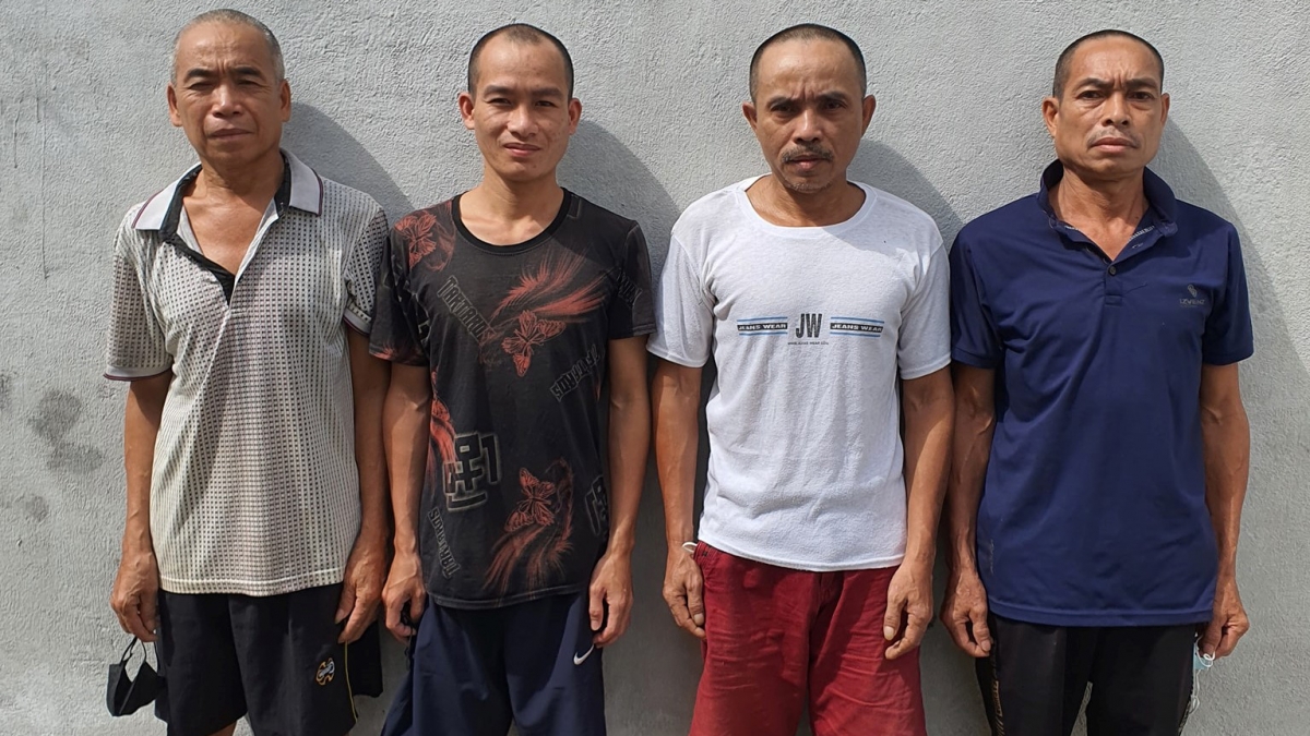 tin tuc phap luat moi nhat ngay 5 6 2021 bong hong xinh dep lam chu soi bac khung o kien giang dspl 2 tin tuc phap luat moi nhat ngay 5 6 2021 bong hong xinh dep lam chu soi bac khung o kien giang dspl 2