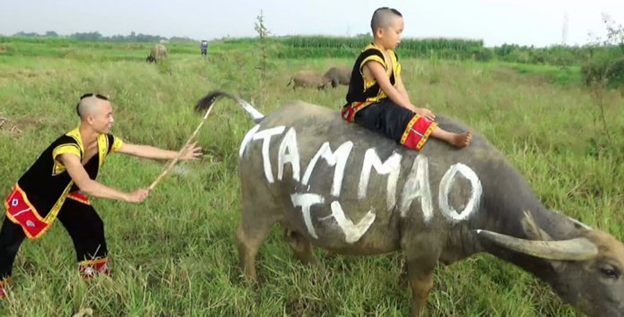 kenh youtube tam mao tv co nguy co bi bay mau dspl 2 kenh youtube tam mao tv co nguy co bi bay mau dspl 2