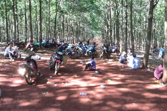 dot kich song bac trong lo cao su canh sat vao vai cong nhan cao mu dspl 1 dot kich song bac trong lo cao su canh sat vao vai cong nhan cao mu dspl 1