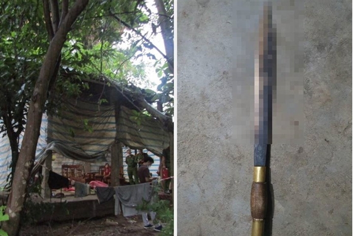 vu goa phu vung dao doat mang hang xom he lo nguon con su viec dspl 1 vu goa phu vung dao doat mang hang xom he lo nguon con su viec dspl 1