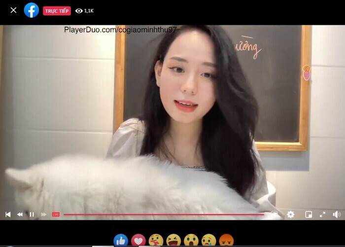 co giao hot nhat mang xa hoi he lo ly do chua tot nghiep dh su pham ha noi dspl 1 co giao hot nhat mang xa hoi he lo ly do chua tot nghiep dh su pham ha noi dspl 1