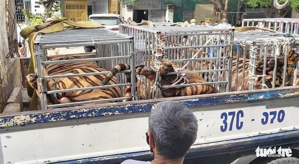 tin tuc phap luat ngay 5 8 yeu rau xanh du do be gai 12 tuoi bo nha di roi hiep dam dspl 2
