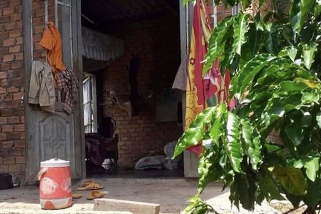 tin tuc phap luat ngay 7 9 tu ba 6x la chu nha nghi kiem moi gioi mai dam huong loi gia beo dspl 2