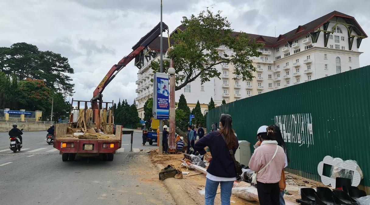 can canh nhung cot den tin hieu giao thong dau tien tai da lat dspl 1 can canh nhung cot den tin hieu giao thong dau tien tai da lat dspl 1