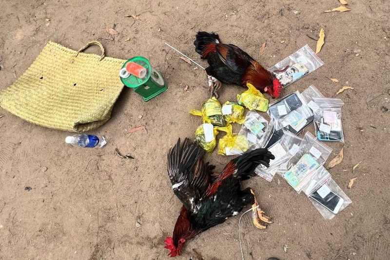 tin tuc phap luat ngay 11 12 pha truong ga phia sau mot vua phe lieu o binh duong dpsl 2 tin tuc phap luat ngay 11 12 pha truong ga phia sau mot vua phe lieu o binh duong dpsl 2