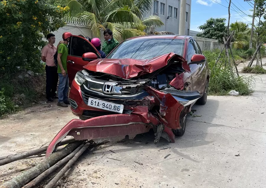 o to lao len via he tong do cay xanh tai xe xuong xe lam hanh dong la dspl 1 o to lao len via he tong do cay xanh tai xe xuong xe lam hanh dong la dspl 1