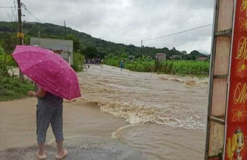 vu nguoi dan ong tu vong tren canh dong xac dinh nguyen nhan dspl 1 vu nguoi dan ong tu vong tren canh dong xac dinh nguyen nhan dspl 1