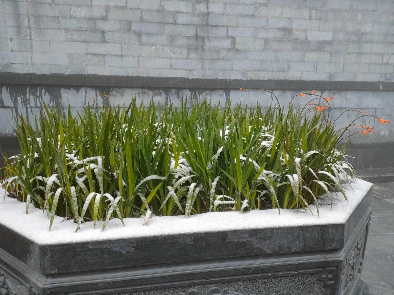 mua tuyet day dac tren dinh fansipan nuom trang moi canh vat tu do cao 2 800m dspl 6 mua tuyet day dac tren dinh fansipan nuom trang moi canh vat tu do cao 2 800m dspl 6