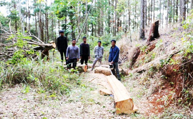 tin tuc phap luat moi nhat ngay 5 2 bi chem dut lia ngon tay khi dang da bong dspl 2 tin tuc phap luat moi nhat ngay 5 2 bi chem dut lia ngon tay khi dang da bong dspl 2