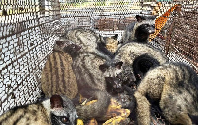 tin tuc phap luat moi nhat ngay 22 2 bat giu nghi pham giet nguoi cuop tai san o dong nai dspl 2 tin tuc phap luat moi nhat ngay 22 2 bat giu nghi pham giet nguoi cuop tai san o dong nai dspl 2