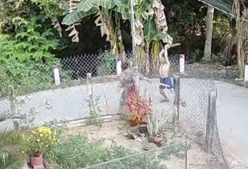 vu nguoi dan ong dung khuc cay danh cu ba 68 tuoi tu vong camera ghi lai gi dspl 1 vu nguoi dan ong dung khuc cay danh cu ba 68 tuoi tu vong camera ghi lai gi dspl 1