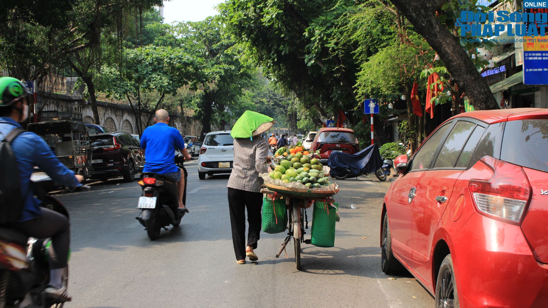 nguoi lao dong chat vat muu sinh duoi troi nang do luaf nguoi lao dong chat vat muu sinh duoi troi nang do luaf