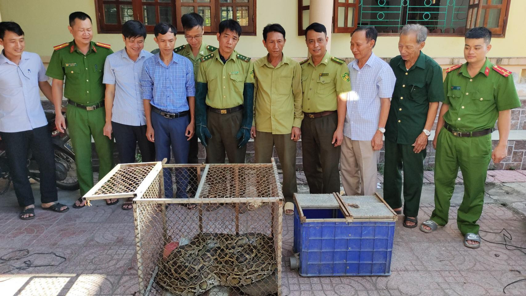 ha tinh phat hien tran khung quy hiem bo vao nha dan bat ga dspl 1 ha tinh phat hien tran khung quy hiem bo vao nha dan bat ga dspl 1