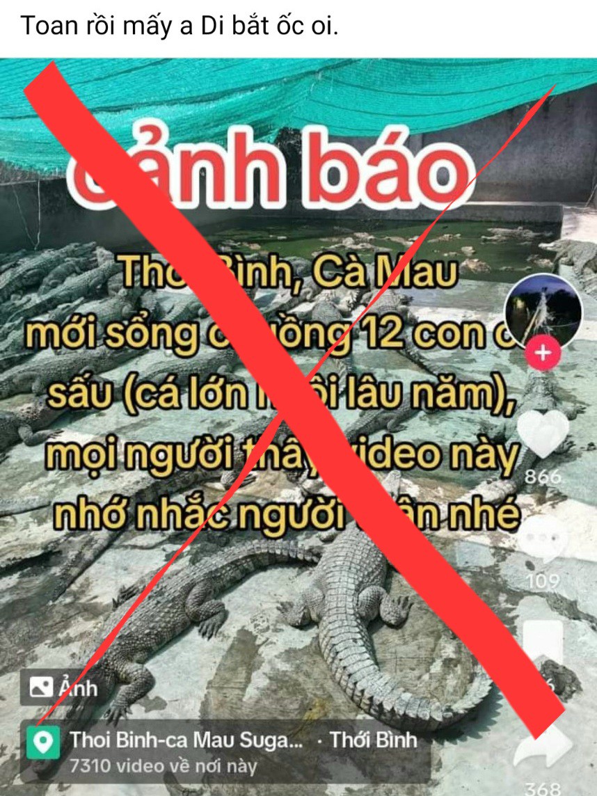 xon xao thong tin 12 con ca sau xong chuong o ca mau xac minh chu tai khoan dang tin that thiet dspl 11 xon xao thong tin 12 con ca sau xong chuong o ca mau xac minh chu tai khoan dang tin that thiet dspl 11
