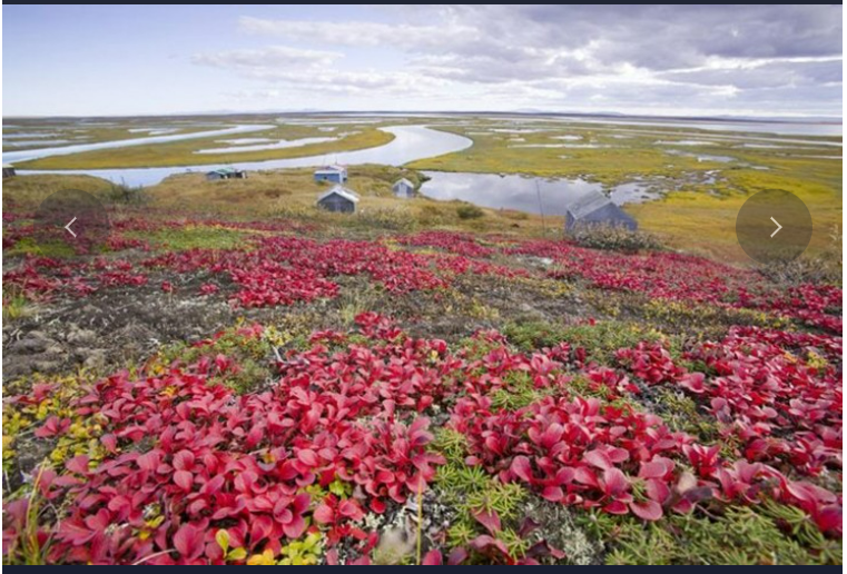 top 13 dao quan dao co the bien mat trong 80 nam toi dspl 13