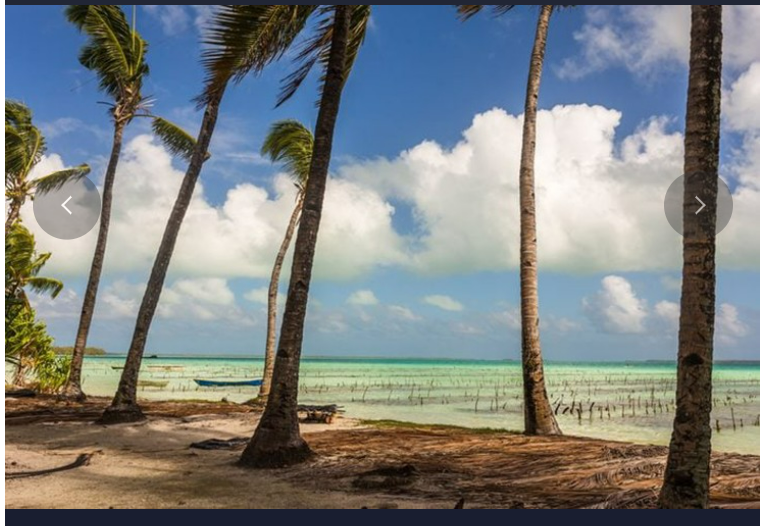 top 13 dao quan dao co the bien mat trong 80 nam toi dspl 8