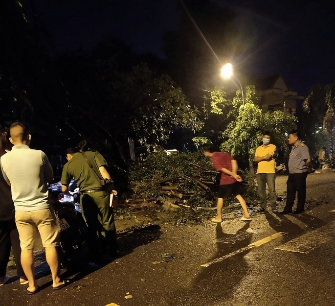lao len via he roi tong vao cay xanh thanh nien di xe may tu vong thuong tam dspl 2 lao len via he roi tong vao cay xanh thanh nien di xe may tu vong thuong tam dspl 2