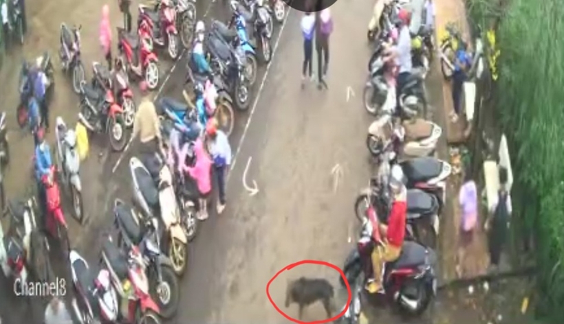 vu cho la tan cong hoc sinh o dak nong kho xac dinh chu nhan dspl 11