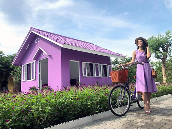 can canh can nha mau tim lim tim sim o can tho khien du khach me man dspl 2 can canh can nha mau tim lim tim sim o can tho khien du khach me man dspl 2