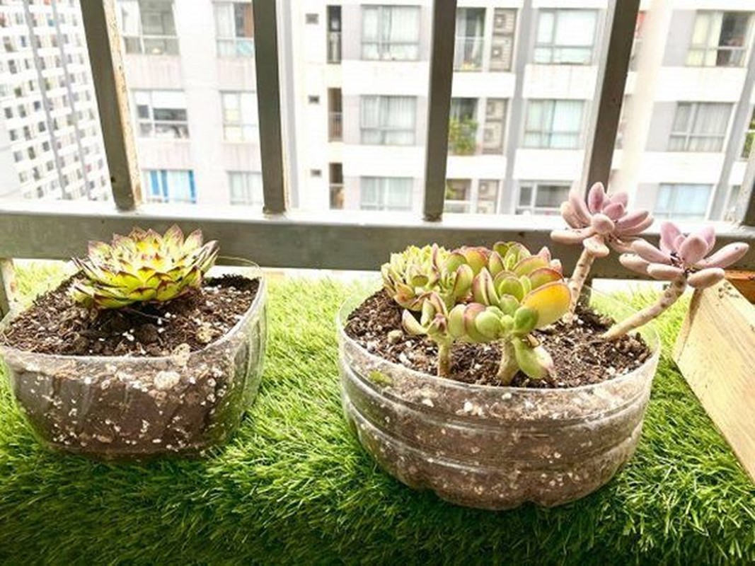 can ho tien ti giua thu do cua chi dep quynh nga khien bao co nang doc than chi biet uoc dspl 5 can ho tien ti giua thu do cua chi dep quynh nga khien bao co nang doc than chi biet uoc dspl 5