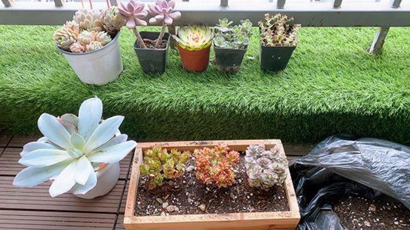 can ho tien ti giua thu do cua chi dep quynh nga khien bao co nang doc than chi biet uoc dspl 6 can ho tien ti giua thu do cua chi dep quynh nga khien bao co nang doc than chi biet uoc dspl 6