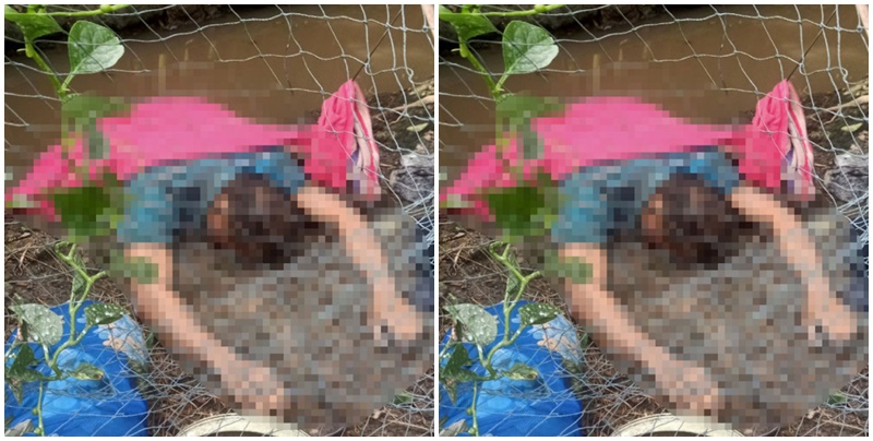 vu nguoi dan ong tu vong trong tu the nam sap o vuon cam ket luan giam dinh tu thi dspl 8