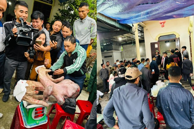 chu nhan cap nhung nai khong lo duoc tra gia gan mot cay vang dspl 1