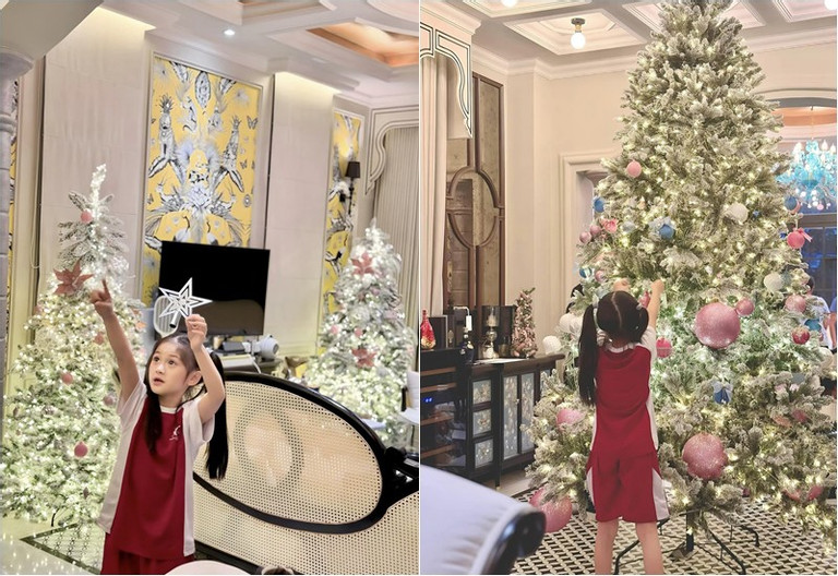 biet thu 22 ty dong cua dai gia quan 7 doan di bang giang den sang ruc goc pho don noel dspl 10