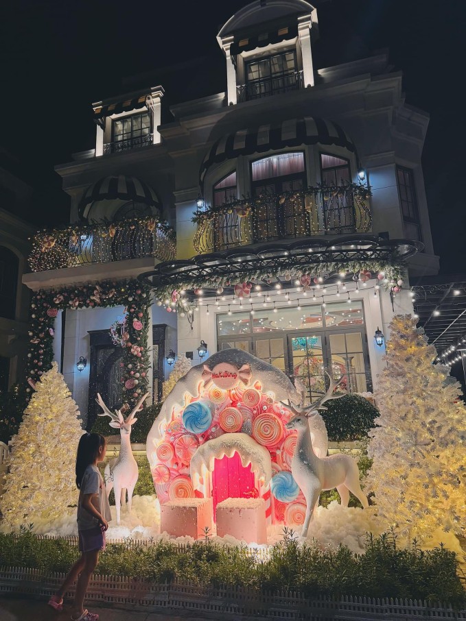 biet thu 22 ty dong cua dai gia quan 7 doan di bang giang den sang ruc goc pho don noel dspl 3