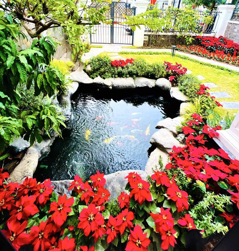 can canh biet thu trieu do cua la thanh huyen truoc them giang sinh 2023 dspl 9