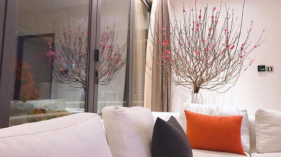 ben trong biet thu be the tam nhin tron thanh pho cua vo chong hoa hau dang thu thao dspl 5