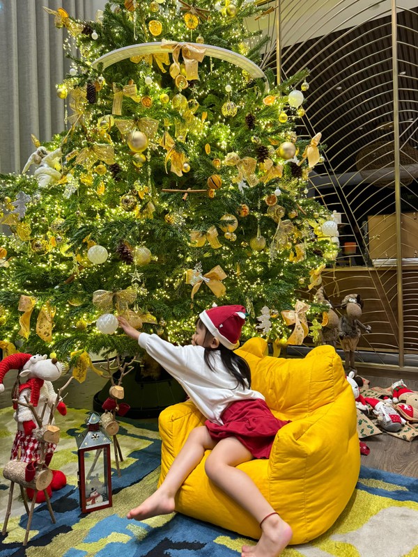 biet thu nha cuong do la dam thu trang dip noel khong gian sang chanh cay thong cao 2m dspl 2 biet thu nha cuong do la dam thu trang dip noel khong gian sang chanh cay thong cao 2m dspl 2