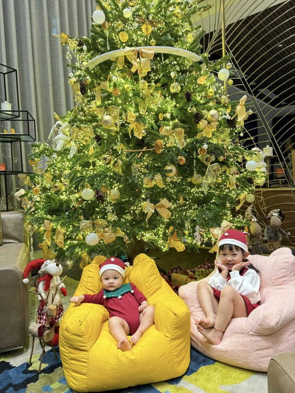 biet thu nha cuong do la dam thu trang dip noel khong gian sang chanh cay thong cao 2m dspl 3 biet thu nha cuong do la dam thu trang dip noel khong gian sang chanh cay thong cao 2m dspl 3