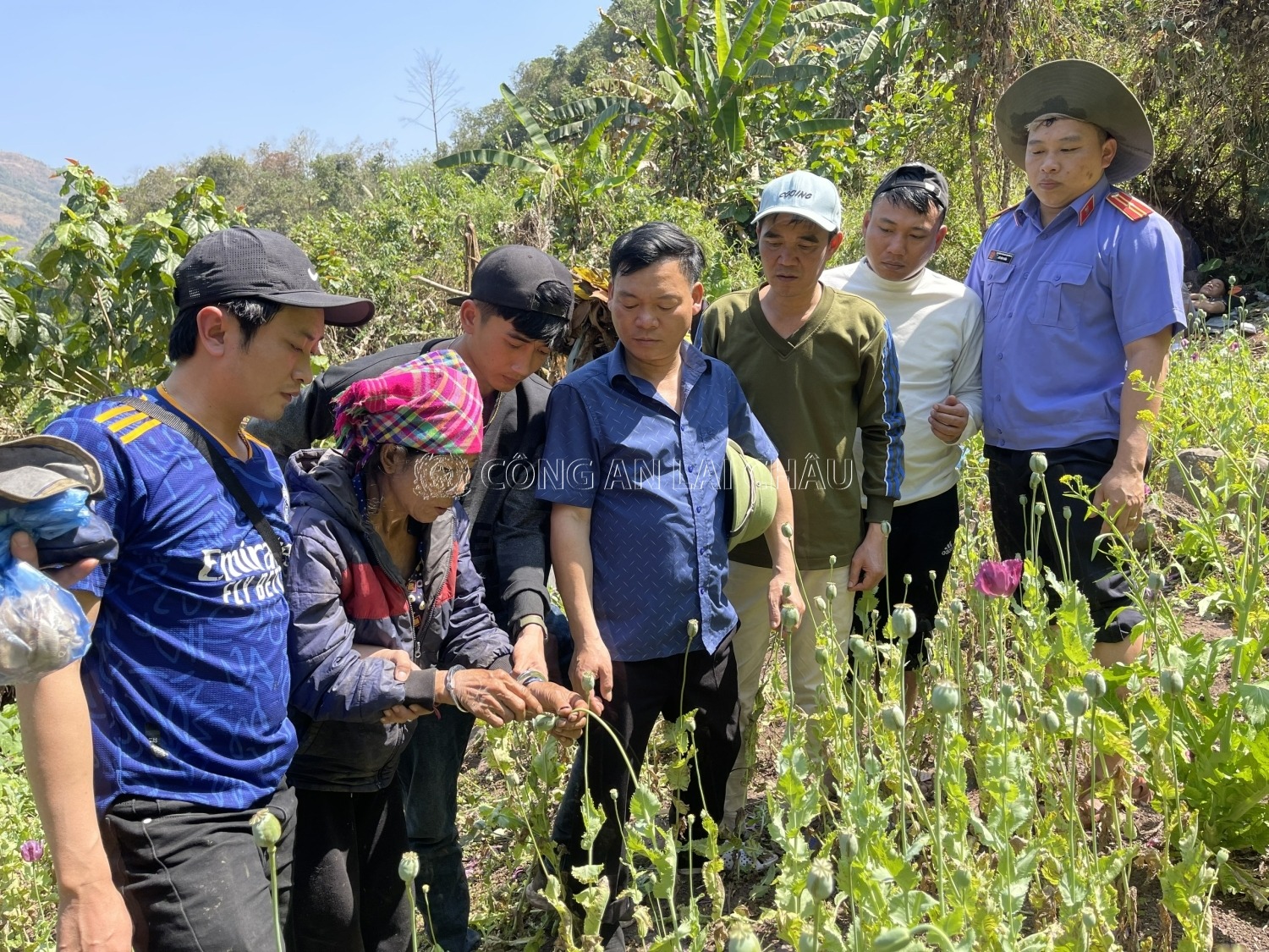 cong an lai chau pha bi mat trong rung sau cua nguoi phu nu 67 tuoi dspl 2 cong an lai chau pha bi mat trong rung sau cua nguoi phu nu 67 tuoi dspl 2
