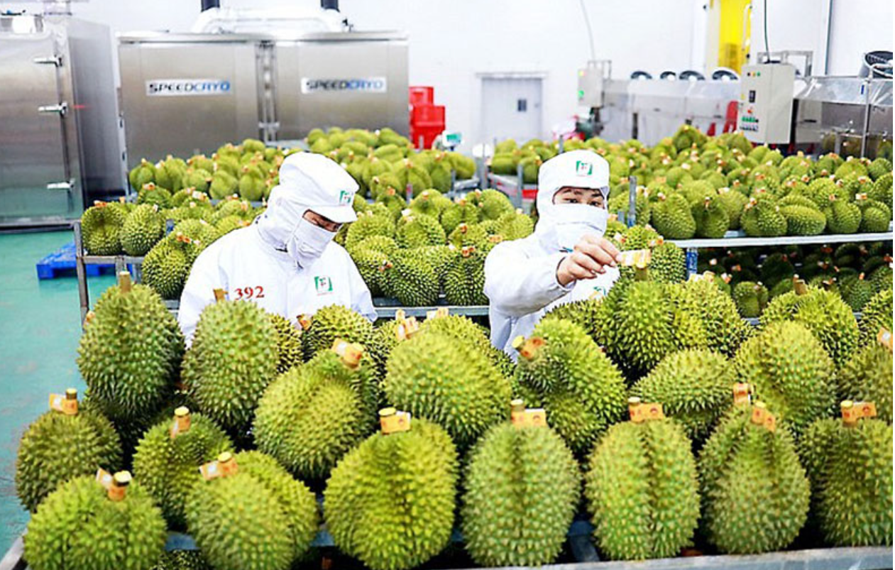 ky-luc-kim-ngach-xuat-khau-rau-qua-viet-nam-dat-hon-1-ty-do-trong-quy-i-2024